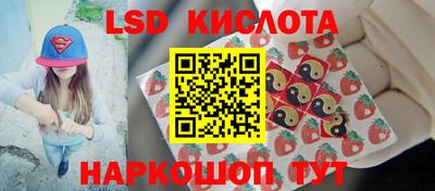 дмт Будённовск
