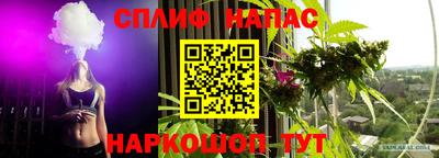 дмт Будённовск