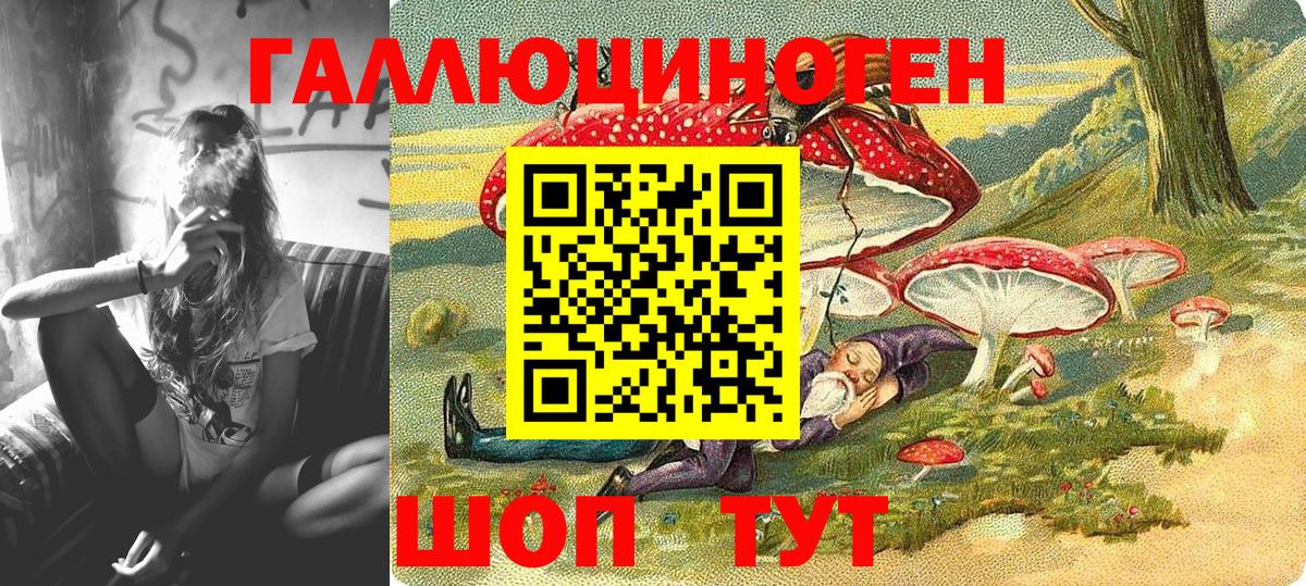 Галлюциногенные грибы Cubensis Малгобек