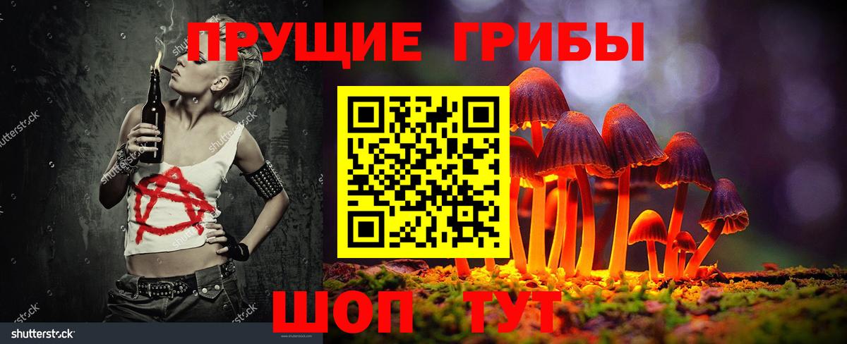 как найти   Вход с VPN  Малгобек  Галлюциногенные грибы Psilocybe 